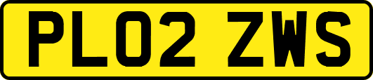 PL02ZWS