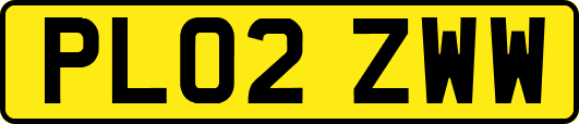 PL02ZWW