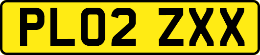 PL02ZXX