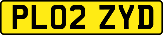 PL02ZYD