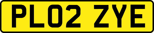 PL02ZYE