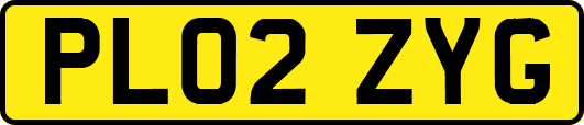 PL02ZYG