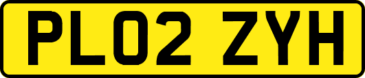 PL02ZYH