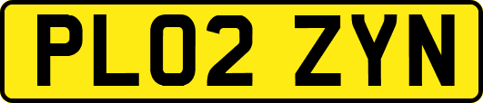 PL02ZYN