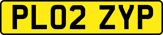 PL02ZYP