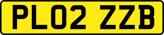 PL02ZZB