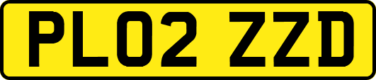 PL02ZZD