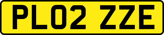 PL02ZZE