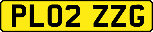 PL02ZZG