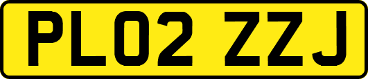 PL02ZZJ