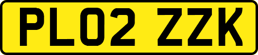 PL02ZZK