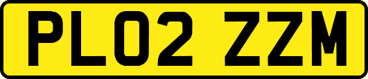 PL02ZZM