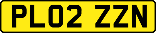 PL02ZZN