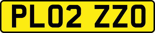 PL02ZZO