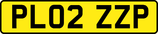 PL02ZZP