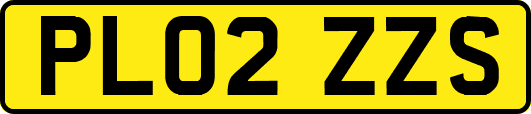 PL02ZZS
