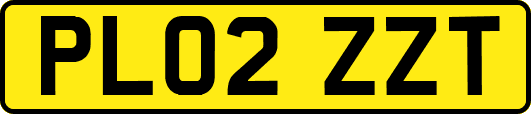 PL02ZZT