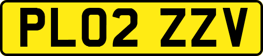 PL02ZZV