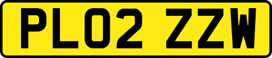 PL02ZZW