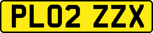 PL02ZZX
