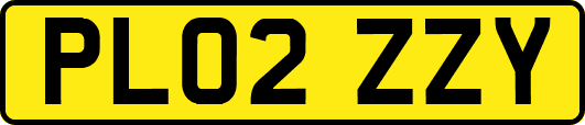 PL02ZZY