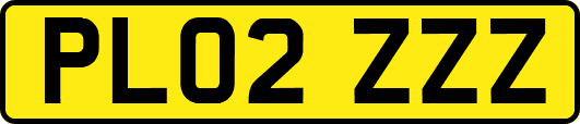 PL02ZZZ