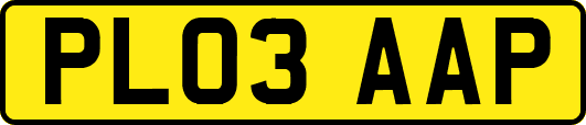PL03AAP