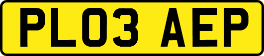 PL03AEP