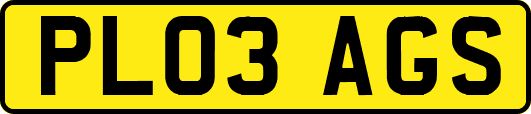 PL03AGS