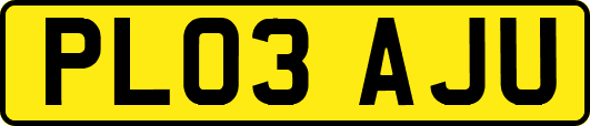 PL03AJU