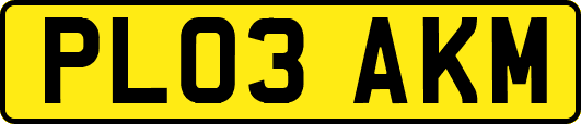 PL03AKM