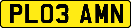 PL03AMN