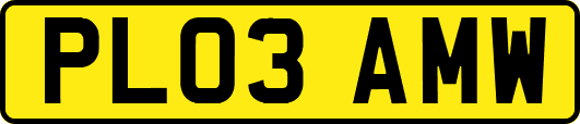 PL03AMW