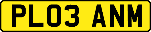PL03ANM