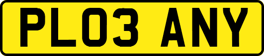 PL03ANY