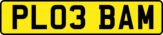 PL03BAM