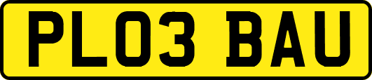 PL03BAU