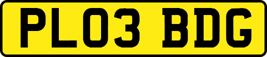 PL03BDG