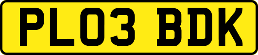 PL03BDK