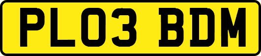 PL03BDM