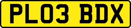 PL03BDX