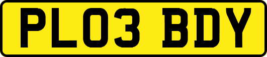 PL03BDY