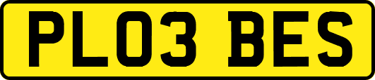 PL03BES