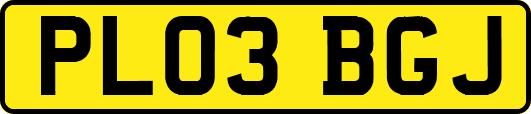 PL03BGJ