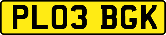 PL03BGK