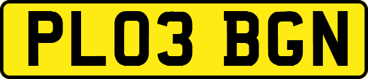 PL03BGN