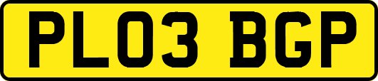 PL03BGP