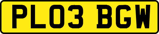 PL03BGW