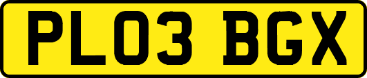 PL03BGX