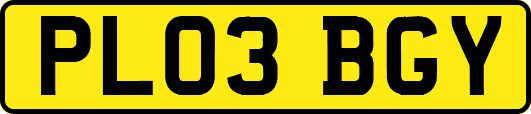 PL03BGY
